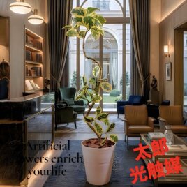 光触媒 人工観葉植物 フェイクグリーン ベンジャミナスターライトコ