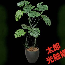 光触媒 人工観葉植物 ウォールグリーン フェイクグリーン 壁掛けソード