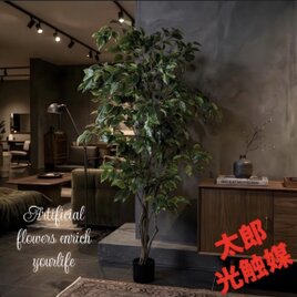光触媒 人工観葉植物 ウォールグリーン フェイクグリーン トネリコ
