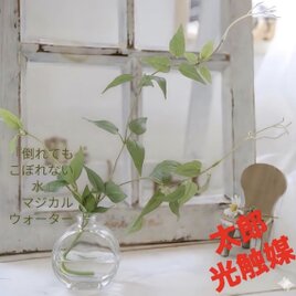 光触媒 人工観葉植物 ウォールグリーン フェイクグリーン トネリコ