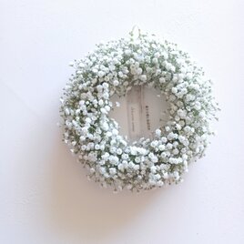 魔女の棲む森 ～ blanche champêtre ～ dried-botanical autumn wreath