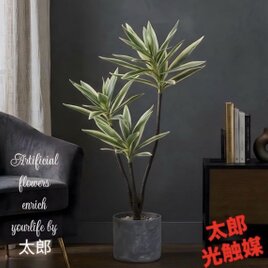 光触媒 人工観葉植物 ウォールグリーン フェイクグリーン トネリコ