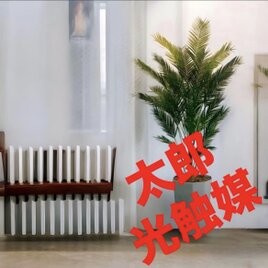 光触媒 人工観葉植物 ウォールグリーン フェイクグリーン パーム160