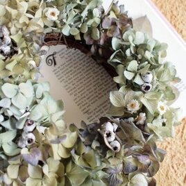 ウェルカムリース ｜アジサイ　φ２３