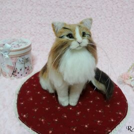 ノルウェージャンフォレストキャット