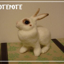 【POTEPOTE】白ウサギ（オーダー分）の画像