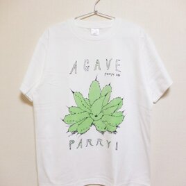 agave parryi t-shirtsの画像