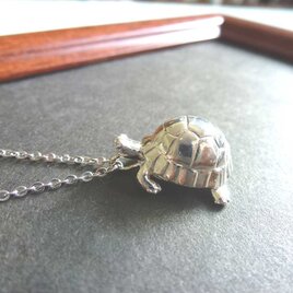 リクガメ　ペンダント