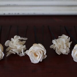 Les Wilis (Uﾋﾟﾝｾｯﾄ)