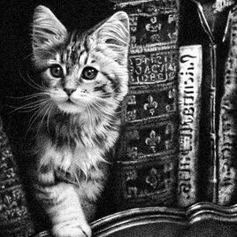 猫と本棚（ペン画）の画像