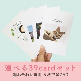 選べる39cardセットの画像