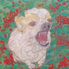 NANDINA(コーギー)の画像