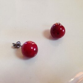 サンキライの赤いピアス