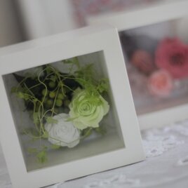 プリザーブドフラワー　ガラスカバー付　キューブボックス