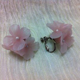 花びら イヤリング