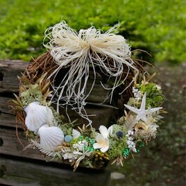 シェルリース☆Coquille