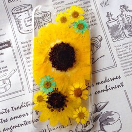 夏新作ヒマワリiPhone6押し花