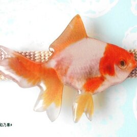 再　(帯留)リアルな金魚　橙×白の画像