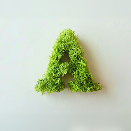 アルファベット オブジェ(モス) 木製『Ａ』×１点の画像