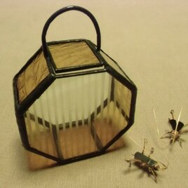 ガラスの虫籠 (小）の画像
