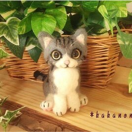 サバトラ猫　羊毛フェルトのぬいぐるみ(ハチワレ猫)　お座りポーズの画像