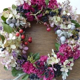 ケイトウのリース