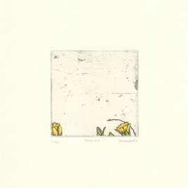 銅版画 70e009 color type1