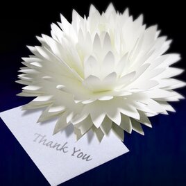 咲くようにひらく 花のサンキューカード〈ダリア〉　forバースデー・ウェディング・アニバーサリー・クリスマス・メッセージカードの画像
