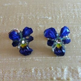 ビオラの小さなお花ピアス