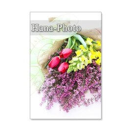 1056）エリカ(ヒース)、チューリップ、金魚草、ガーベラ　5枚組ポストカード