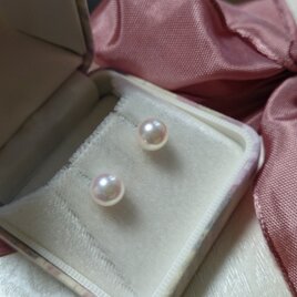あこや本真珠 7.8㎜珠 K14WGイヤリングの画像