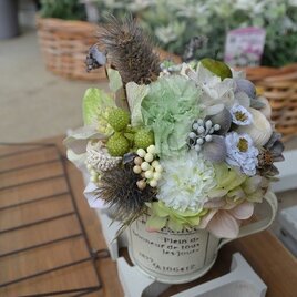 アンティーク風カップのアレンジメント