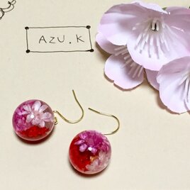 ドライフラワーラウンドピアス