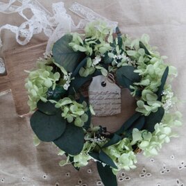 プリザーブドフラワー紫陽花とユーカリリース