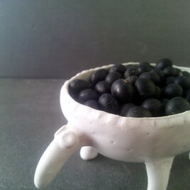 アリクイ君（仮名）　白釉