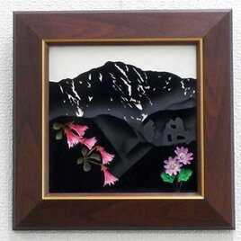 なつかしの山・思い出の花シリーズ「鞍掛山・コイワカガミ、クモイコザクラ」の画像