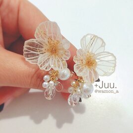 切り絵の花のイヤリング(山荷葉:金)の画像