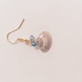 ☆低価格 貝殻アクセサリー☆