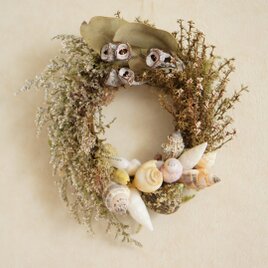 shell　wreath 　の画像