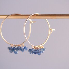 blue trim earringsの画像