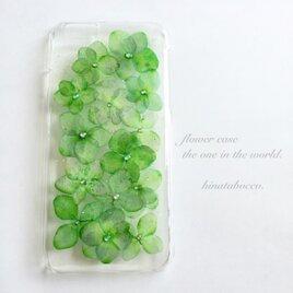 green＊紫陽花【iPhone6/6s】の画像
