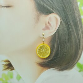 リアルなフルーツイヤリング　レモン両面小の画像
