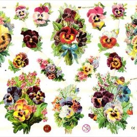 ドイツ製クロモス ビオラのブーケ ラメなし　DA-CHY012 （Made in Germany)