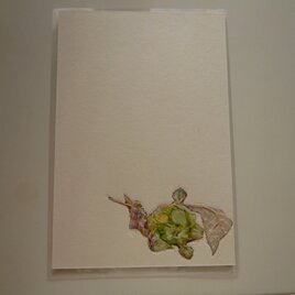 フキノトウ（ポストカード）