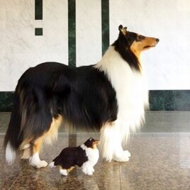 羊毛フェルト長辺２１ｃｍ：オーダーメイドの犬人形（植毛、直毛）の画像