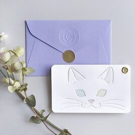 パチカ猫の2枚組メッセージカードの画像