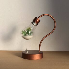 電球テラリウムの検索結果 ハンドメイド クラフト作品 手仕事品通販 Iichi ハンドメイド クラフト作品 手仕事品の通販