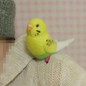 工房小鳥屋さん セキセイインコ 作品一覧 | iichi 日々の暮らしを心地よくするハンドメイドやアンティークのマーケットプレイス