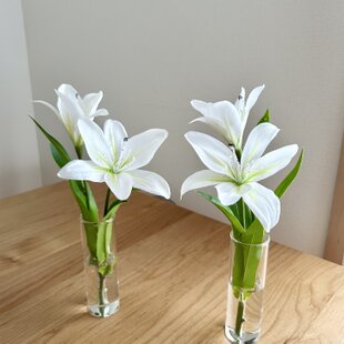 光触媒　人工観葉植物　ウォールグリーン　フェイクグリーン　ロイヤル胡蝶蘭５本立L 光触媒 観葉植物 ウォールグリーン フェイクグリーン プレミアム胡蝶蘭