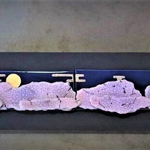 F4号キャンバス作品○『金の太陽』がんどうあつし肉筆直筆絵画明るい F4号キャンバス作品○『金の太陽』がんどうあつし肉筆直筆絵画明るい